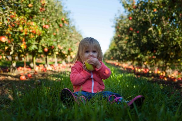 Comment faire face aux allergies alimentaires de son enfant ?