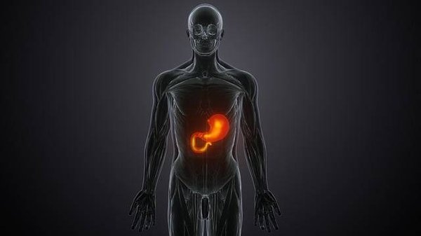 Comprendre la Maladie du Soda NASH : Causes, Symptômes et Traitements
